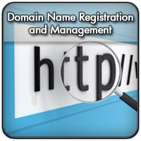 Click here to learn more about our Domain Name Services